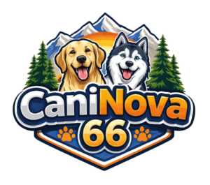 caninova-educateur-canin-comportementaliste-dressage-chiot-obeissance-bilan-balade-educative-socialisation-réeducation-chien