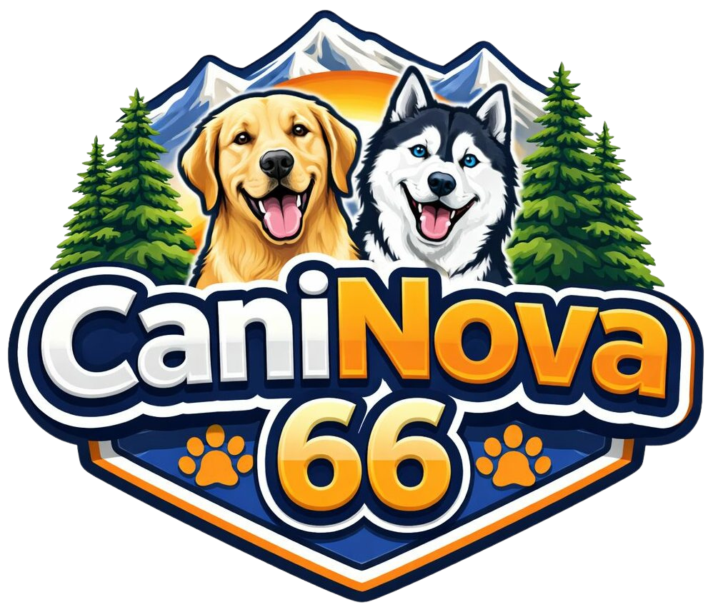 caninova-educateur-canin-comportementaliste-dressage-chiot-obeissance-bilan-balade-educative-socialisation-réeducation-chien