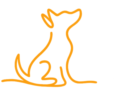 caninova-educateur-canin-comportementaliste-dressage-chiot-obeissance-bilan-balade-educative-socialisation-réeducation-chien