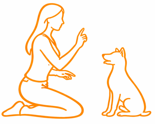 caninova-educateur-canin-comportementaliste-dressage-chiot-obeissance-bilan-balade-educative-socialisation-réeducation-chien